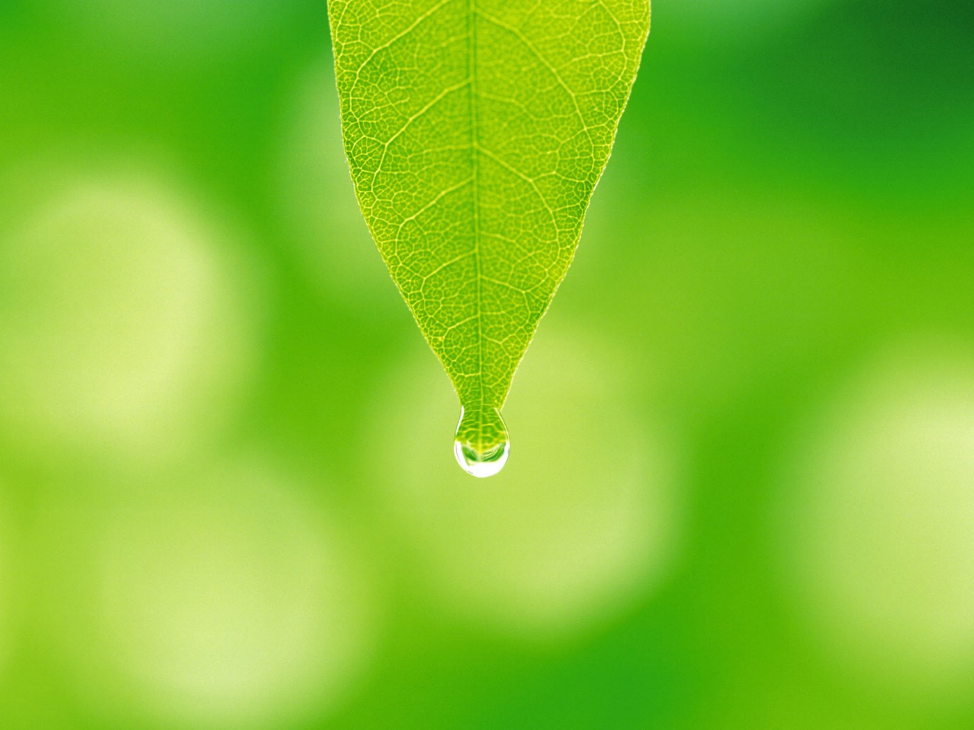 細(xì)節(jié)的重要性